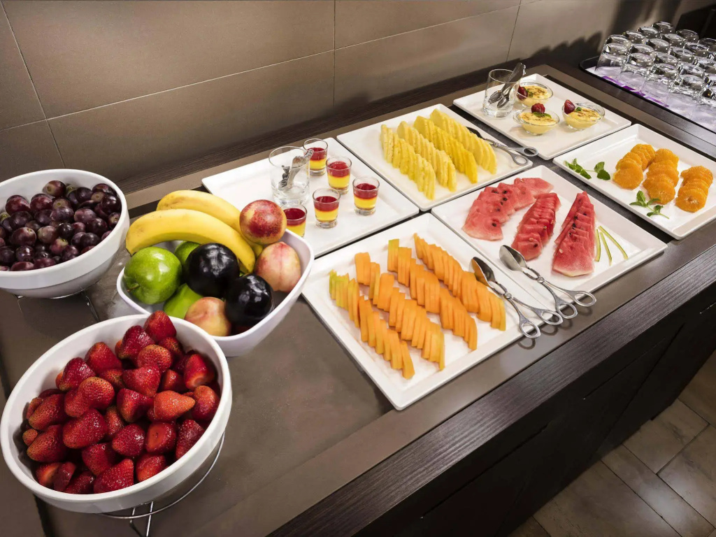 Hotel Novotel Santiago Vitacura - Général