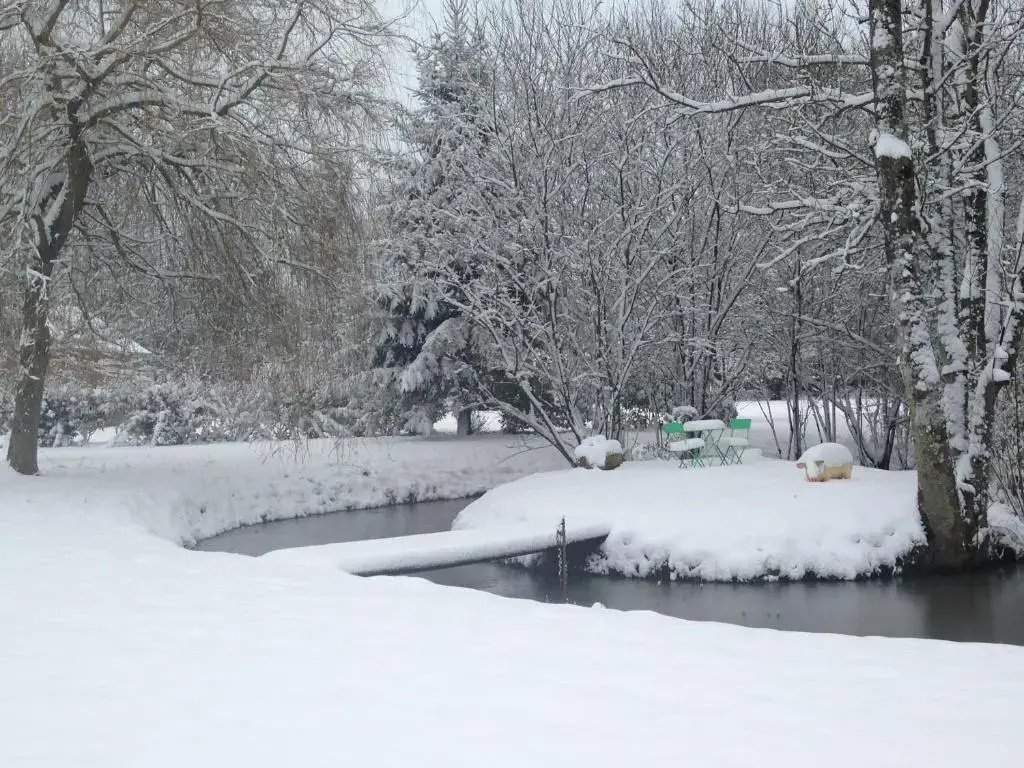 Voir la photo 2 — Chalet Goyave