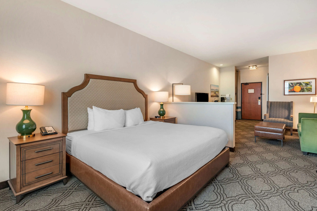 Double Suite (full double bed)