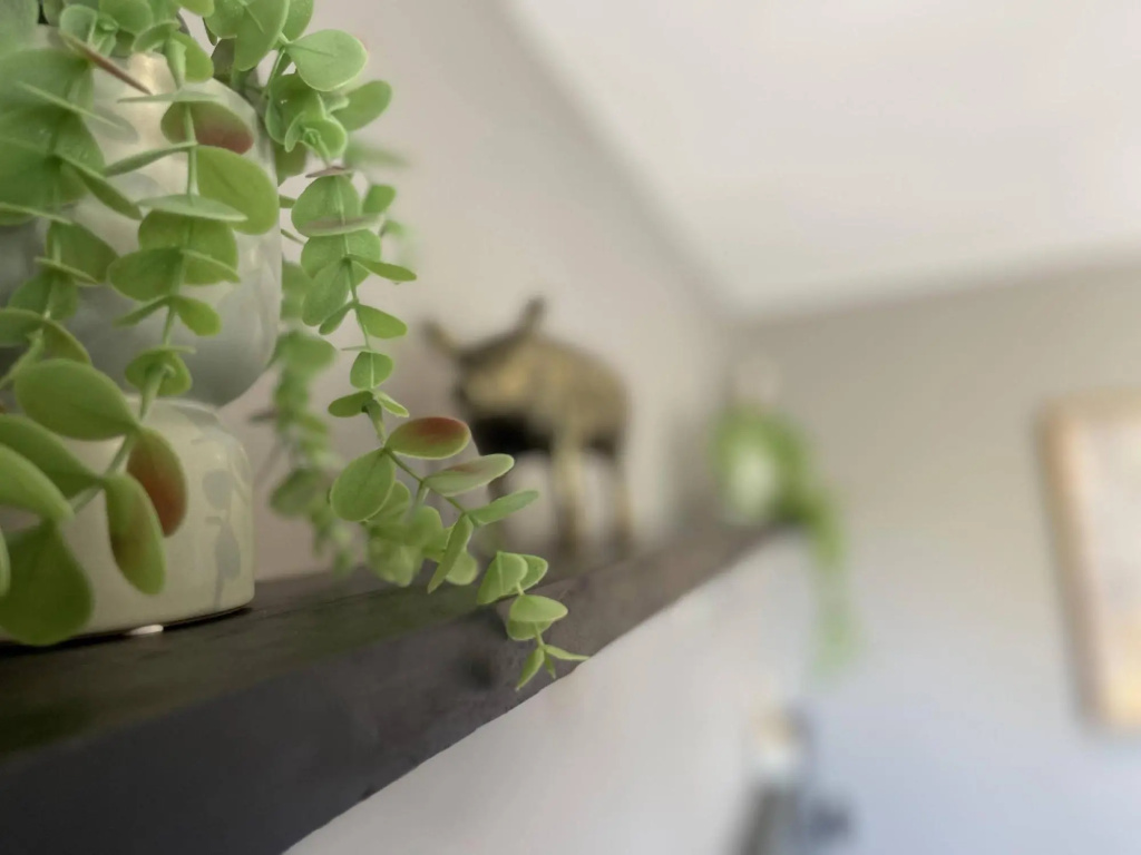 Balcony & Terrace