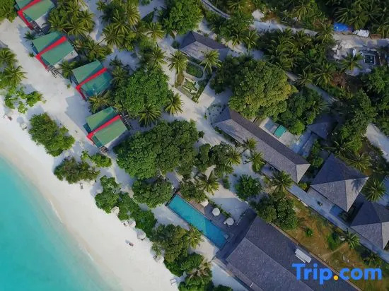 The Barefoot Eco Hotel