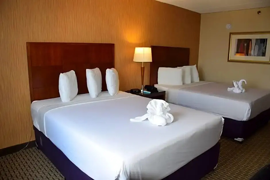 E Hotel Banquet and Conference Center - Edison - Chambres