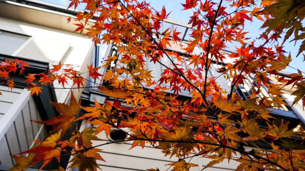 Hotel Yori Toya / Vacation STAY 24393 사진 18