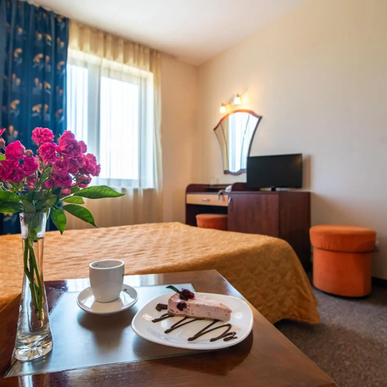 Hotel photo 12