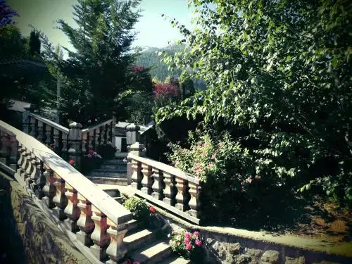 Balcony & Terrace