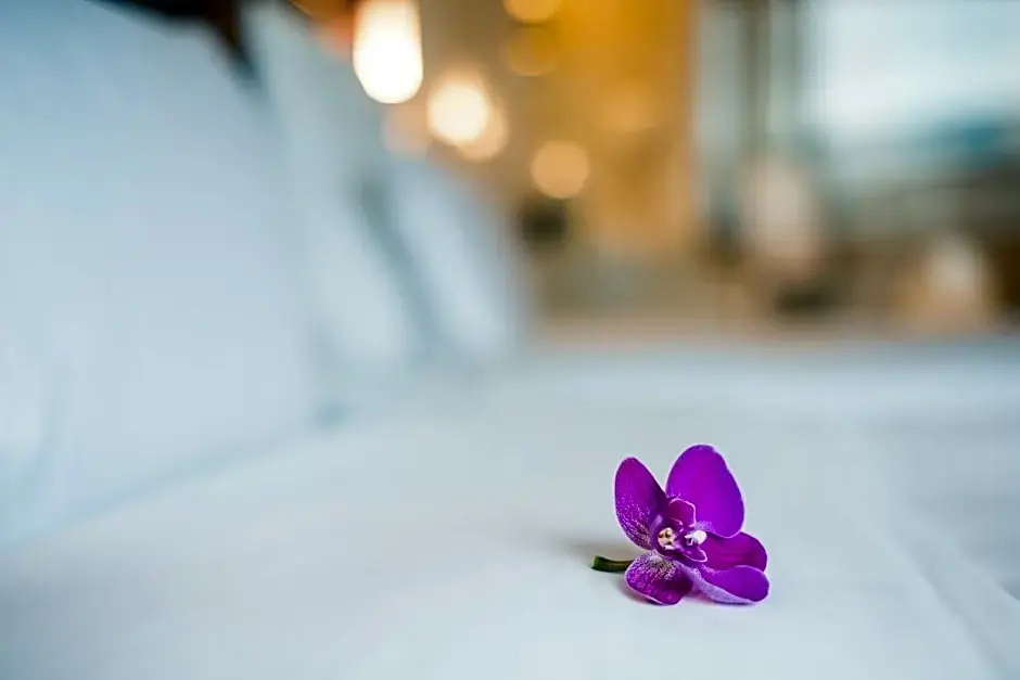 Pullman Guangzhou Baiyun Airport - Chambres