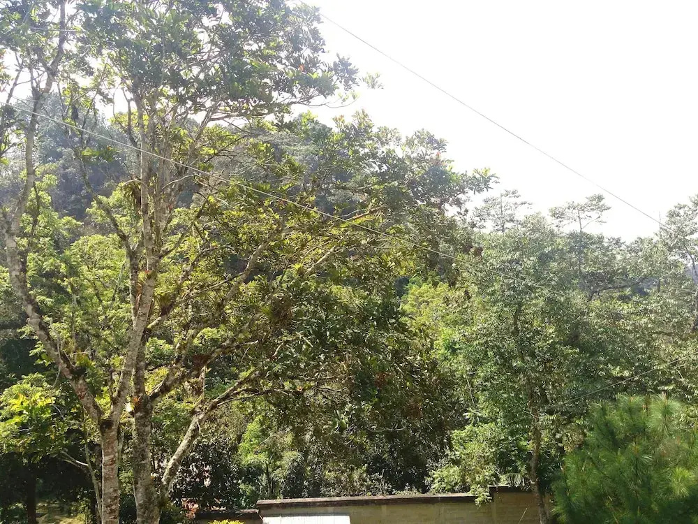 Casa Imperial Coban - Chambres