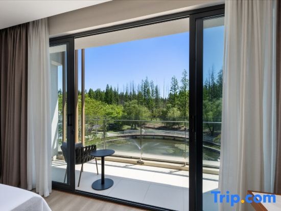 Deluxe Double room (twin beds)