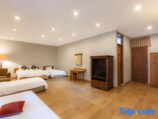 Hotel & Banquet Panorama Lembang - Chambres