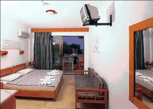 Standard Double room (twin beds)