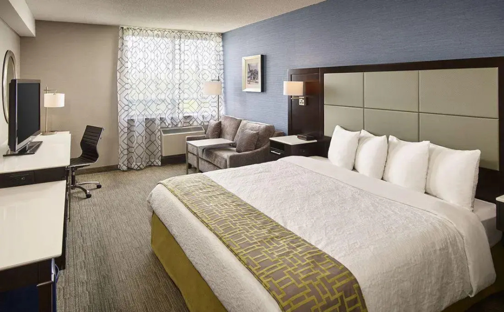 Standard Double room with city view (full double bed)