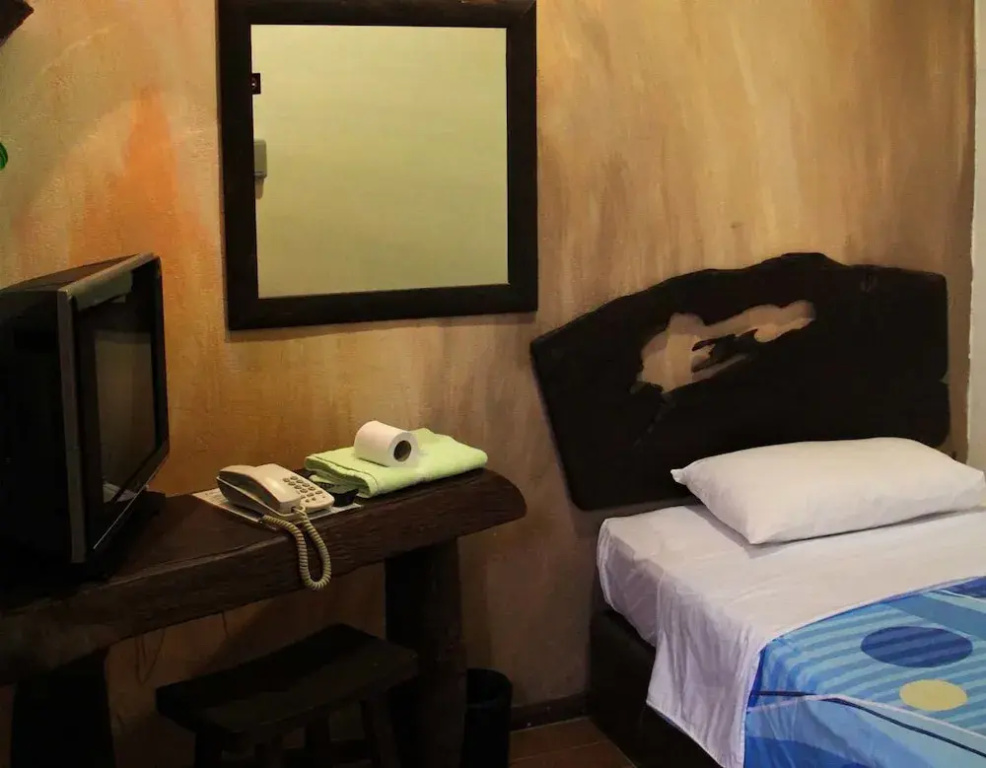 Standard Double room (twin beds)