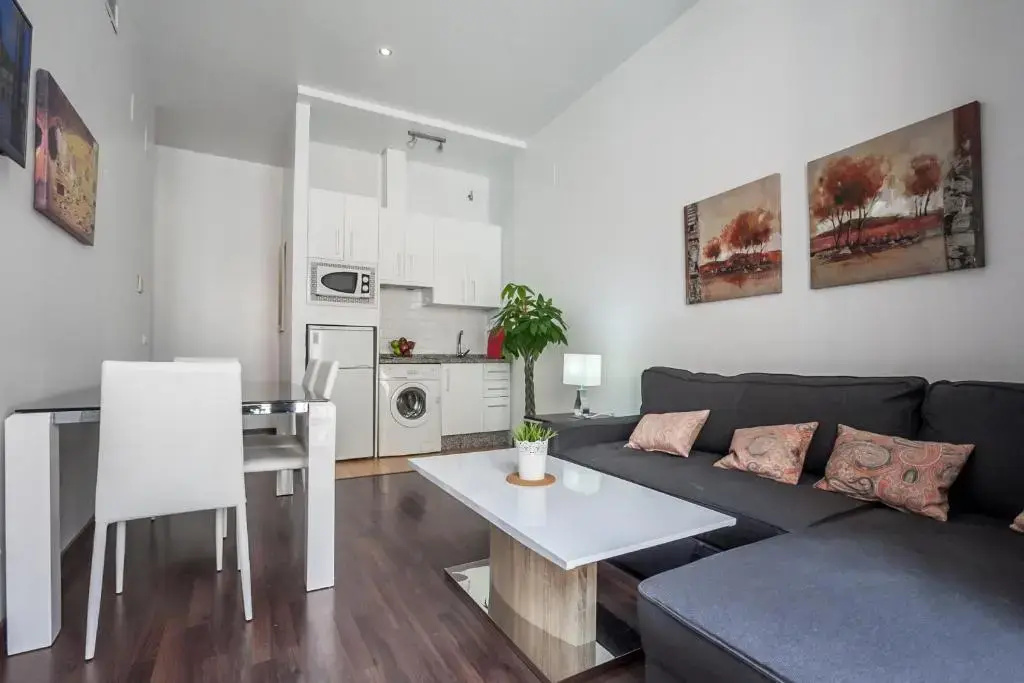 1 Bedroom Apartment