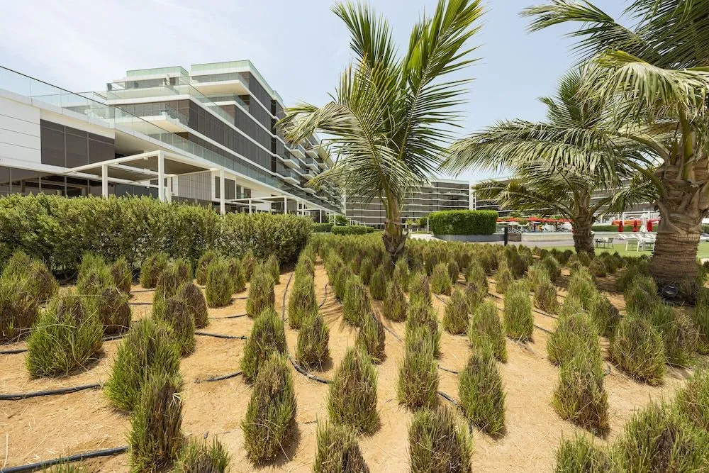 Spacious beachfront 2 bedroom apartment