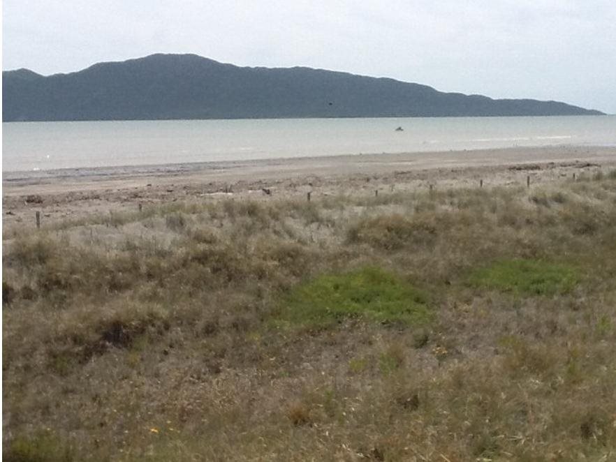 Image 12