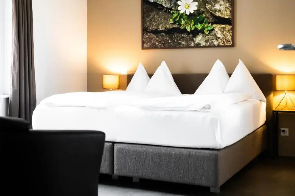 Standard Double room with land view (full double bed)