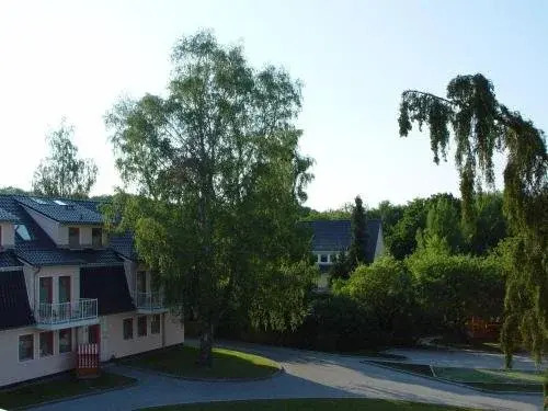 Image 14