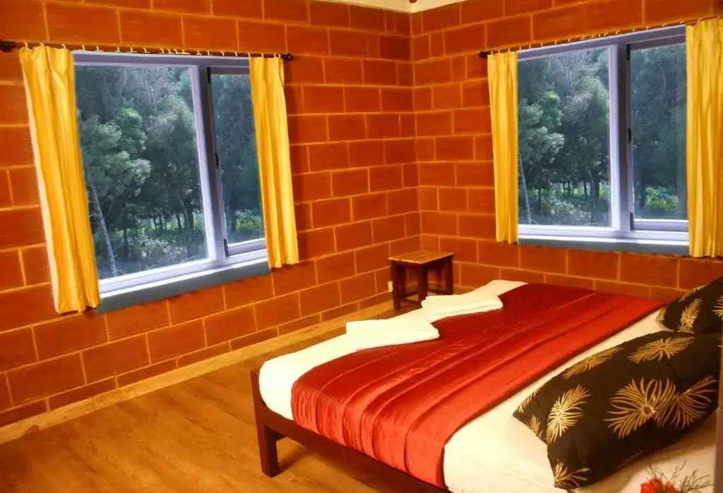 Deluxe Double room (full double bed)