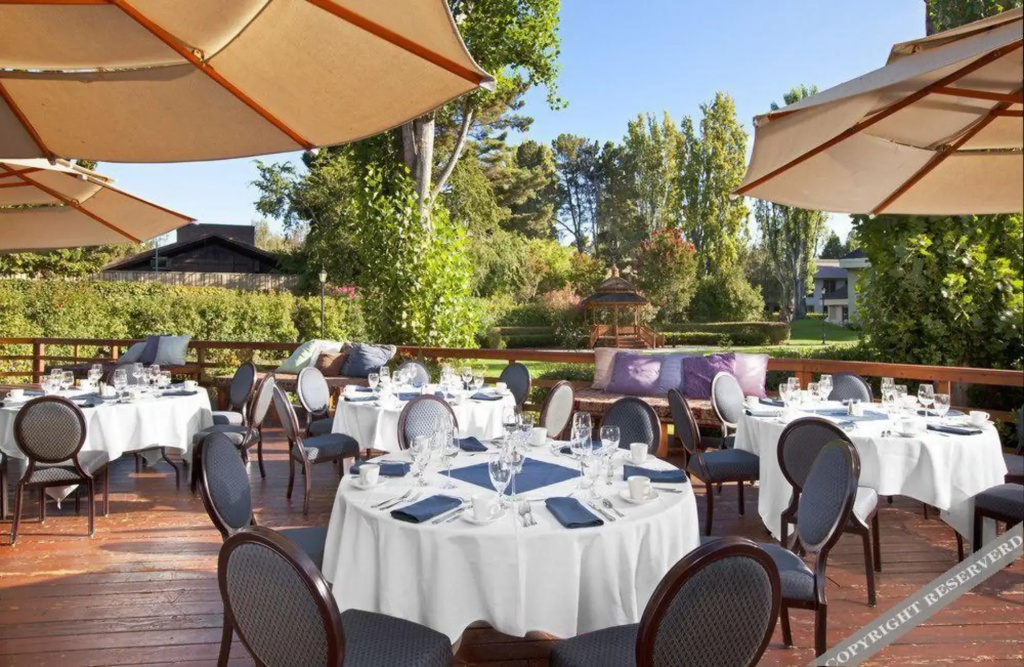 Treehouse Hotel Silicon Valley - Général