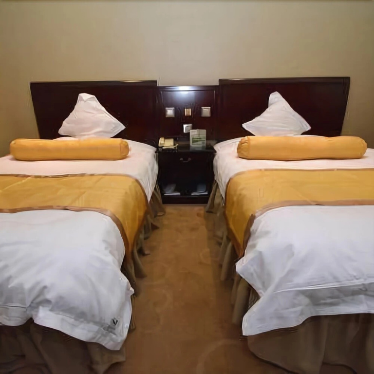 Songyang Hotel - Général