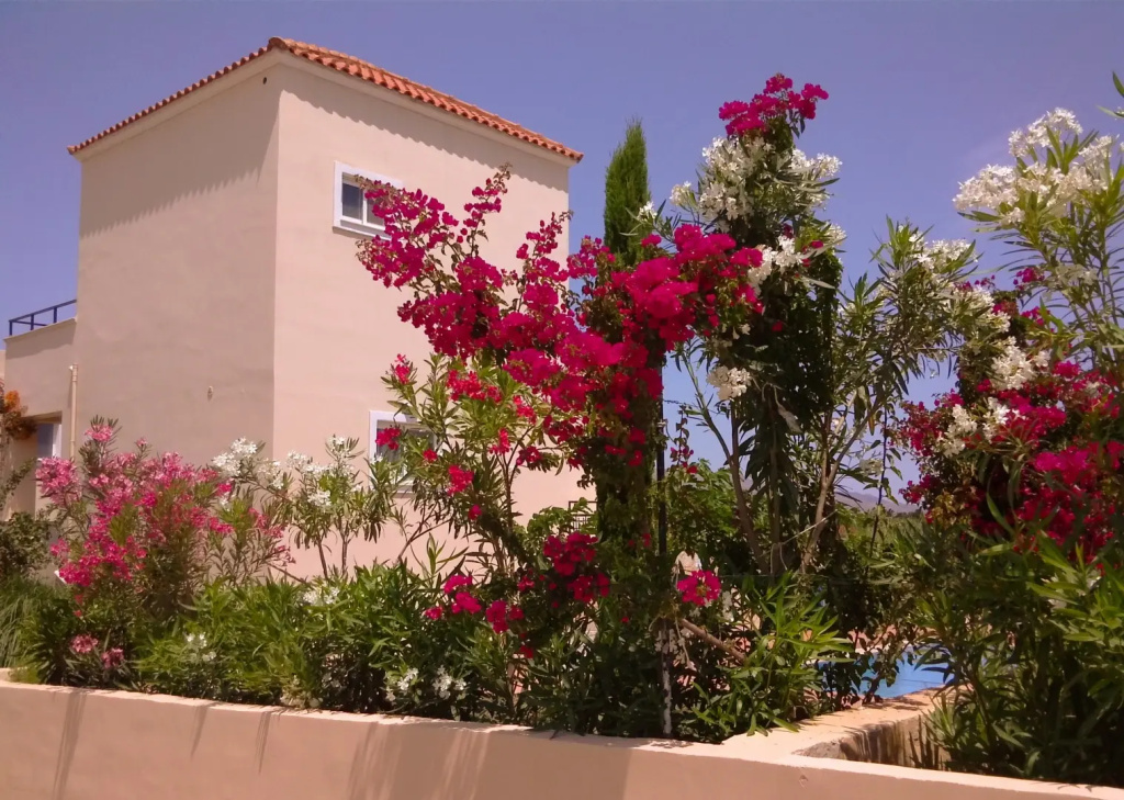 Selini Suites