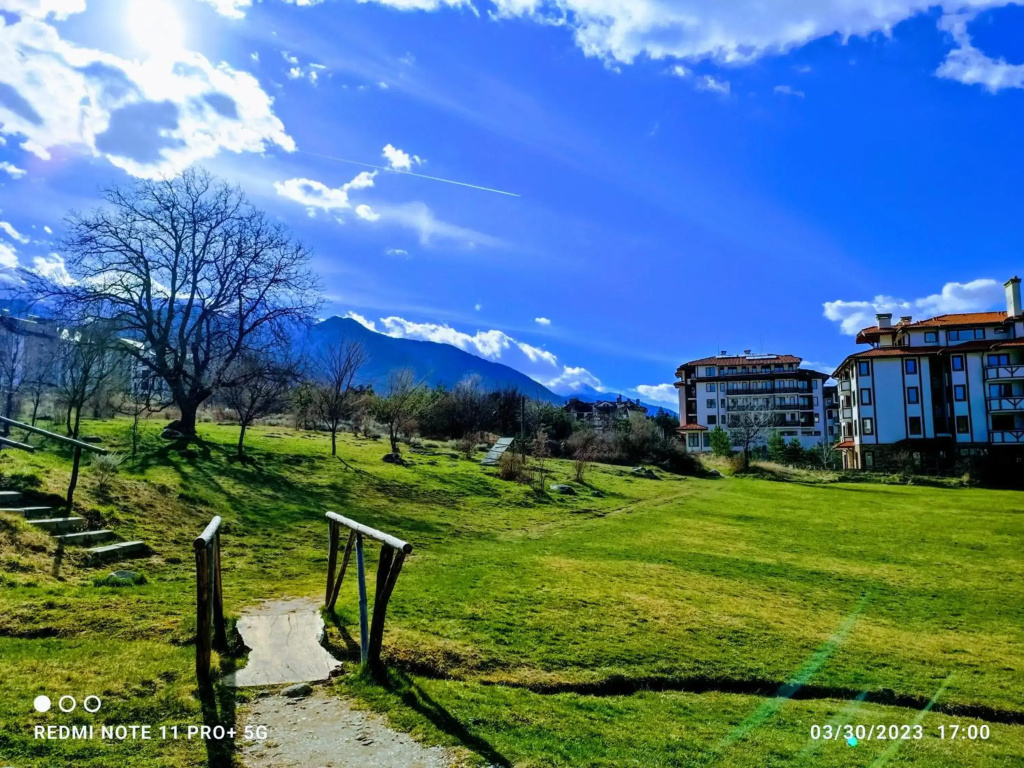 Hotel photo 28