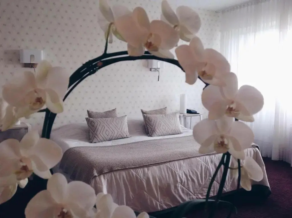 Hotel Relais du Vignoble - Chambres