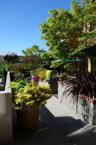 Hotel photo 10