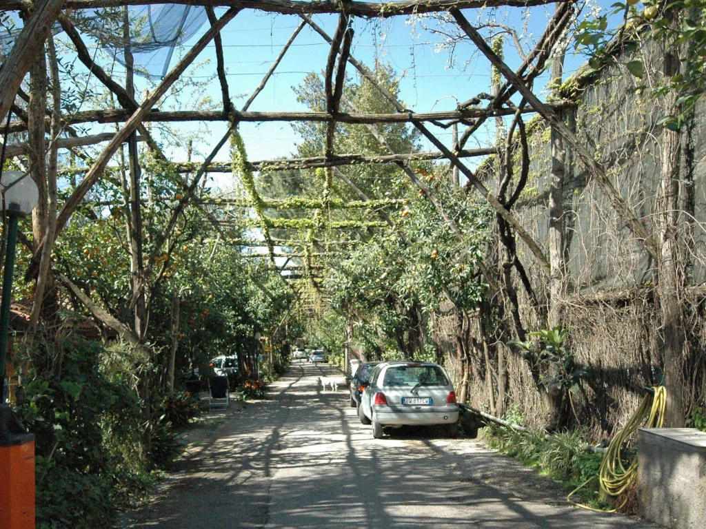 Villaggio Verde - Général