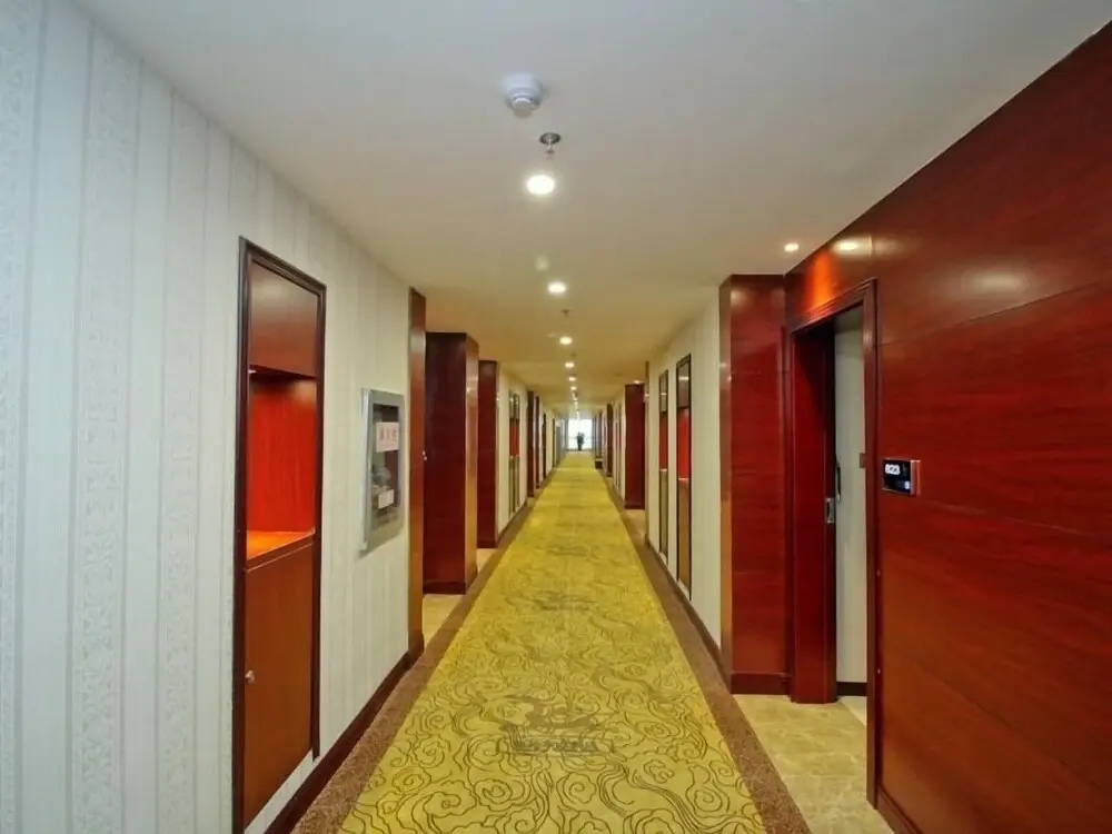 GreenTree Eastern Hefei Railway Station West Linquan Road Hotel - Général