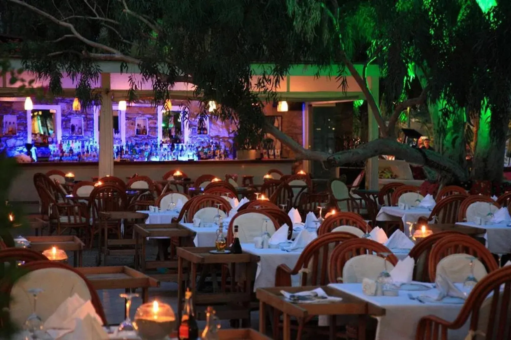 Okaliptus Hotel - Général