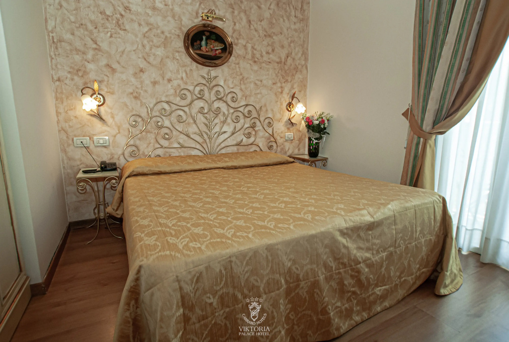 Viktoria Palace Hotel - Général
