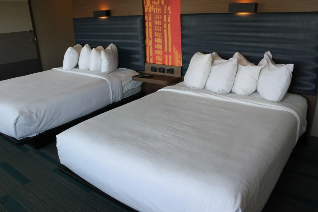 Aloft by Marriott Syracuse Inner Harbor - Général