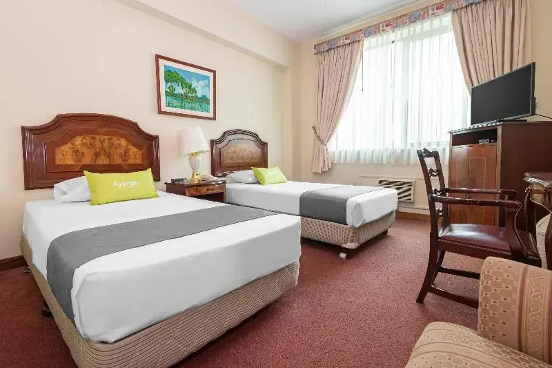 Standard Double room (twin beds)