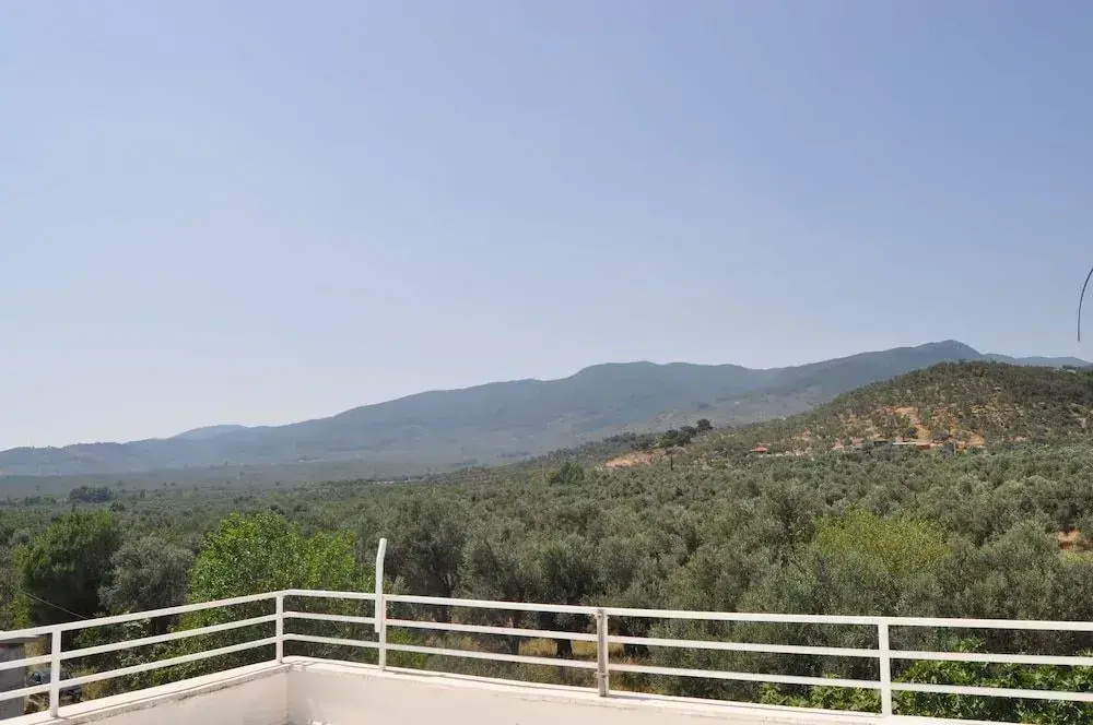 Grand Alver Otel - Général