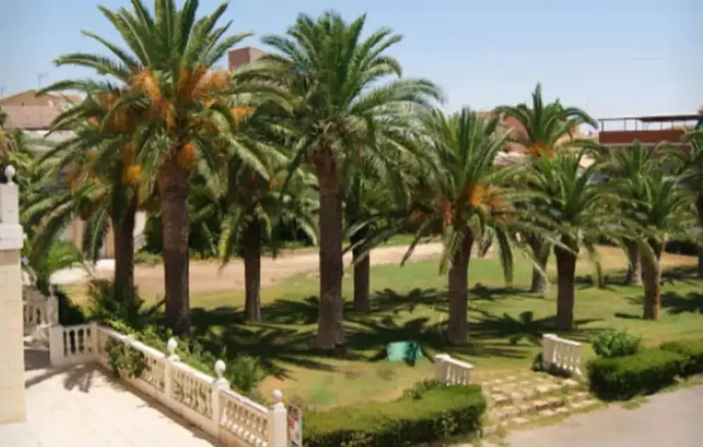 Hotel Las Navas - Général