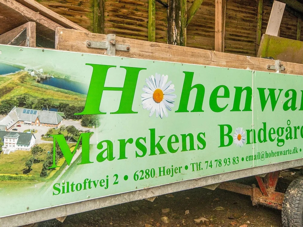 4 Person Holiday Home in Hojer