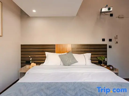 Standard Double room with city view (full double bed)