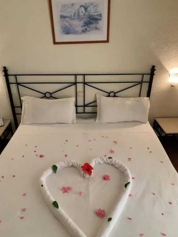 Sol Palmeras Beach - Family Hotel - Chambres