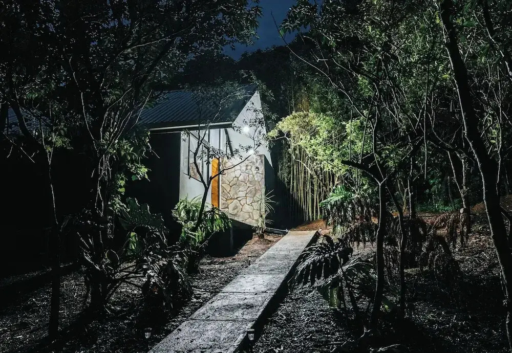 Floresta Monteverde
