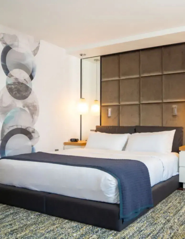 The Windsor Suites - Chambres