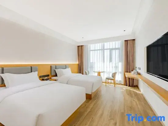 Business Double room (twin beds)