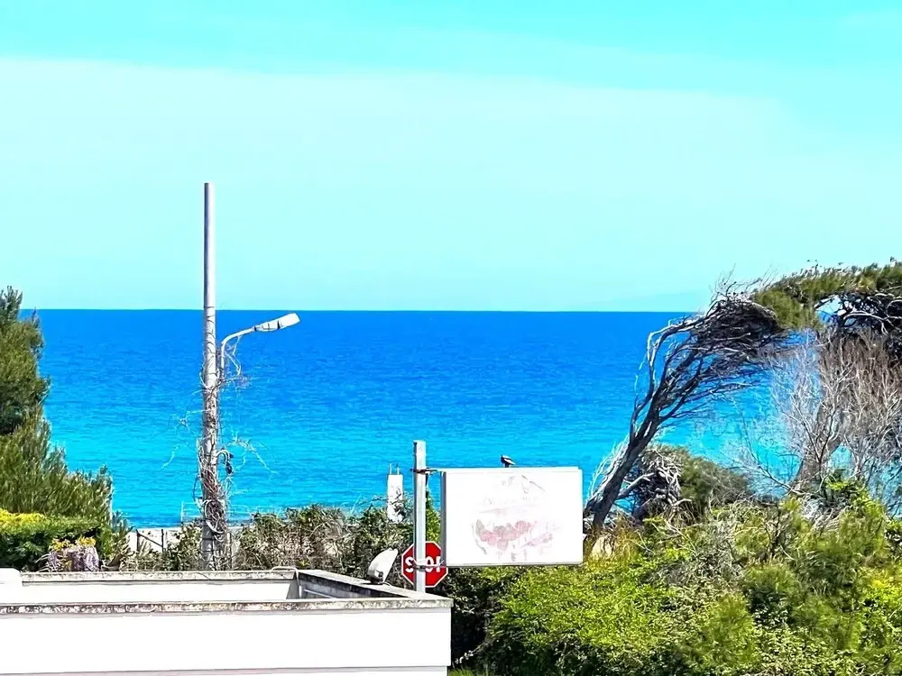 Beach & Waterfront