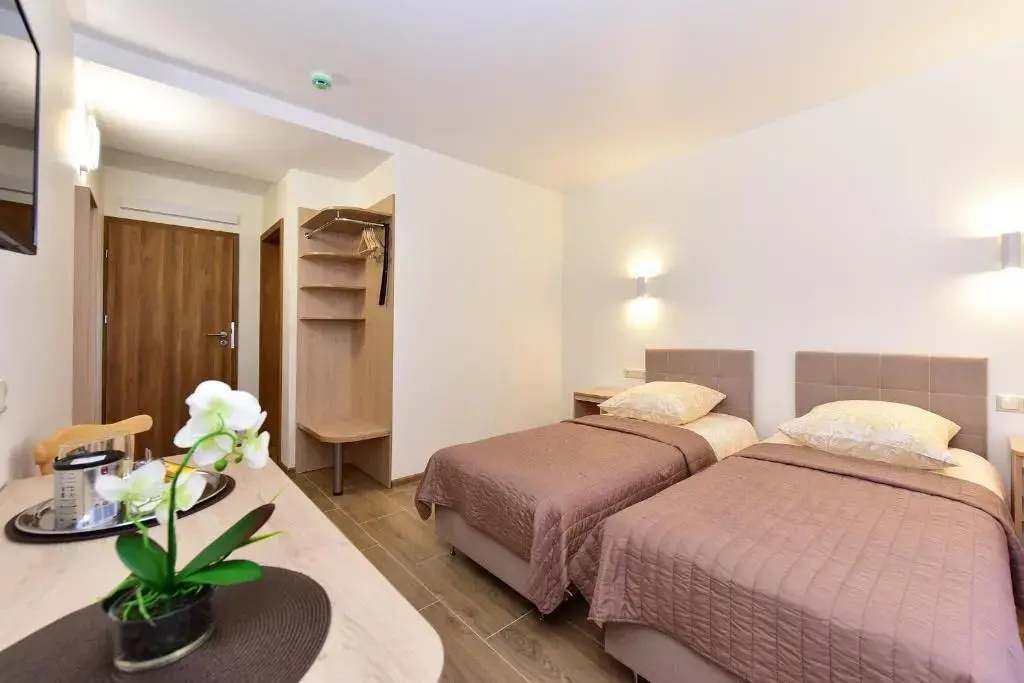 Standard Double room (twin beds)