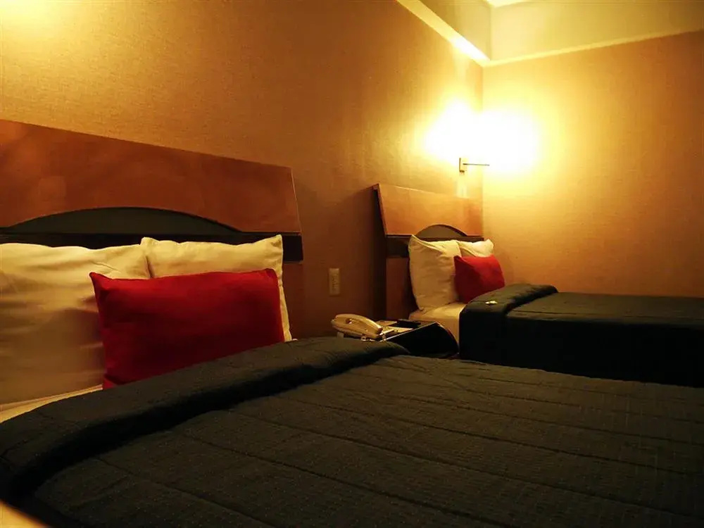 Hotel Colon Plaza Business Class - Général