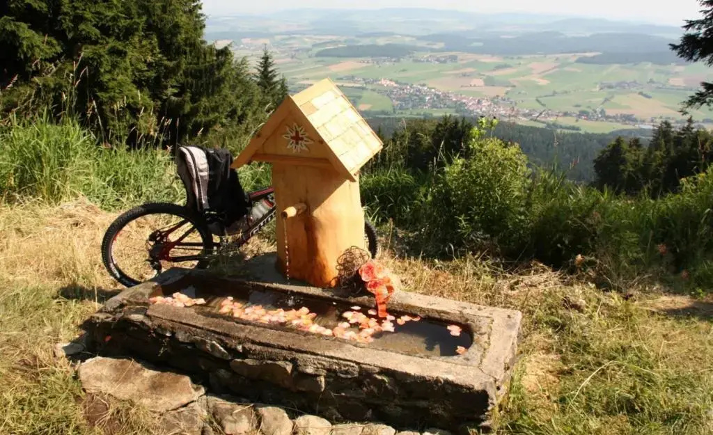 Nichtraucher-Ferienhotel Hohen Bogen