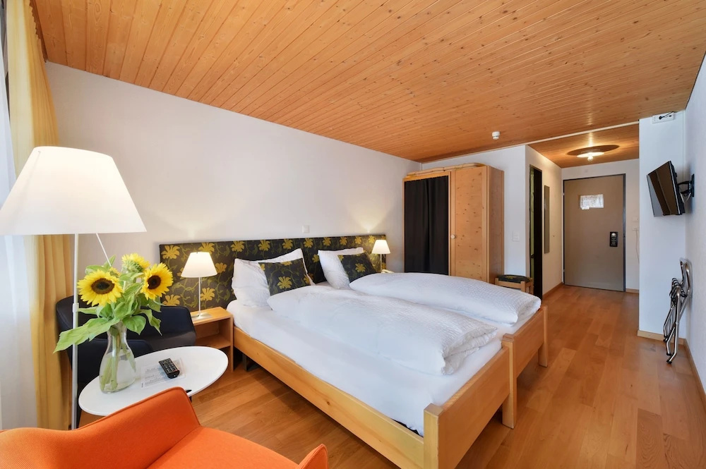 Standard Double room (full double bed)