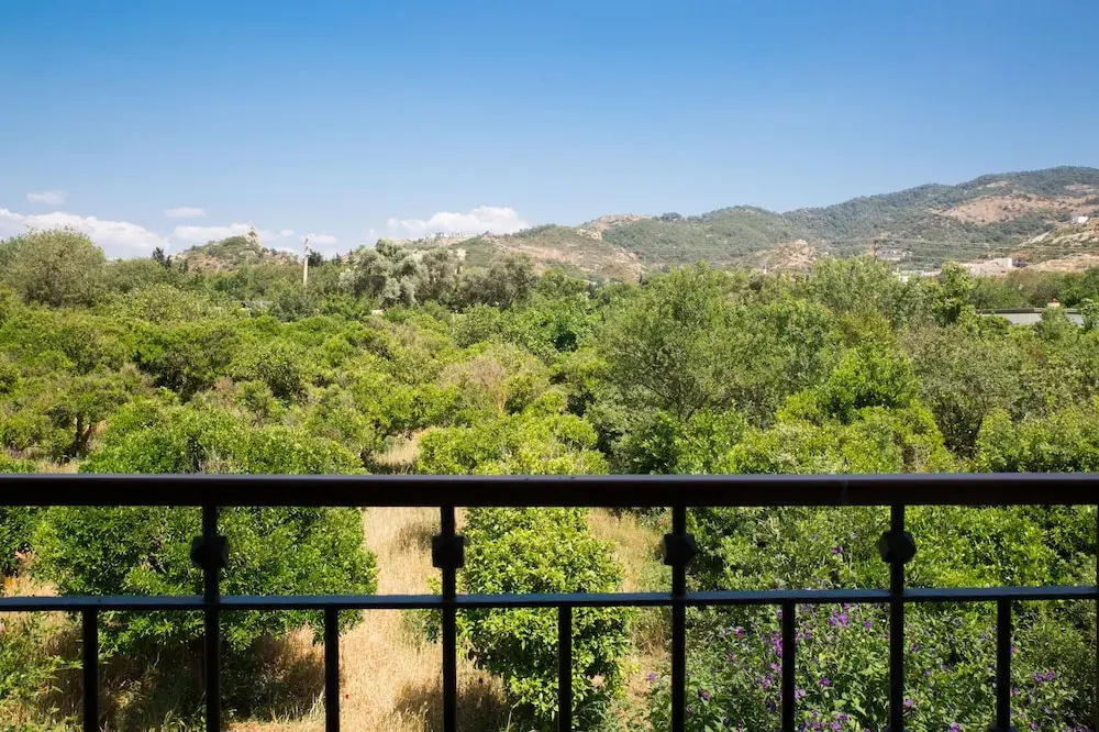 Hotel photo 37