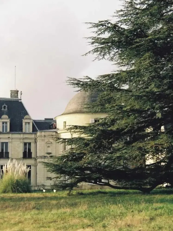 Voir la photo 4 — Château Royal de Benays