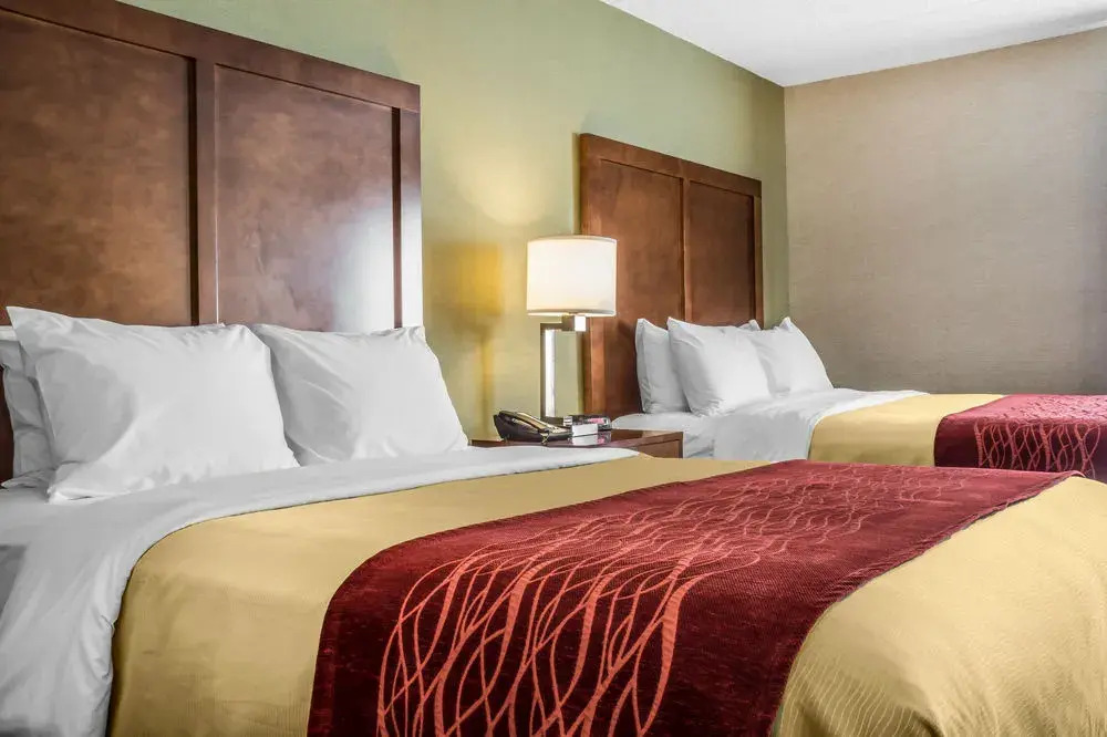 Clarion Pointe Jamestown - Falconer — фото 3